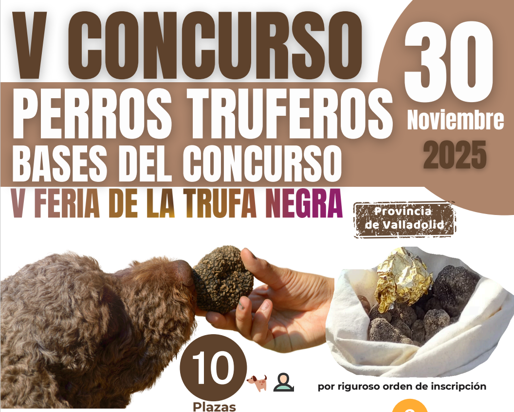 concurso perros truferos